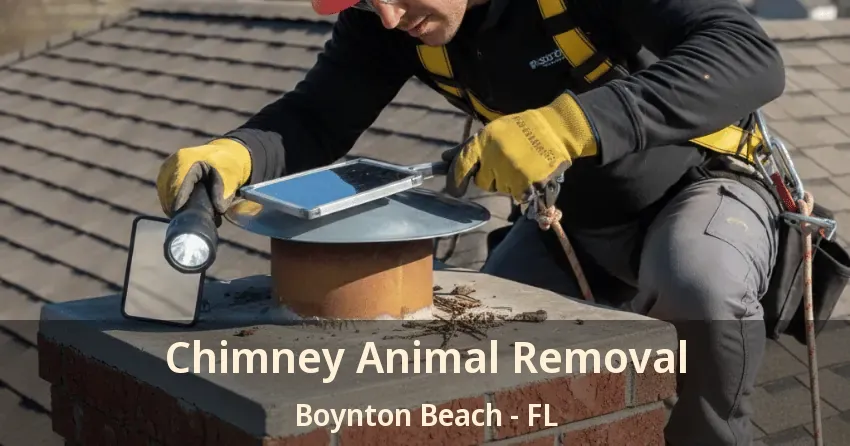 Chimney Animal Removal Boynton Beach - FL