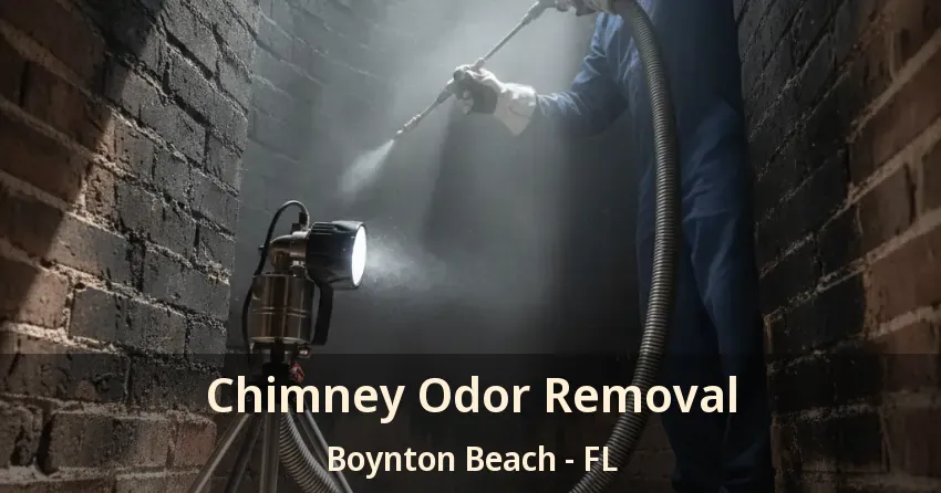 Chimney Odor Removal Boynton Beach - FL