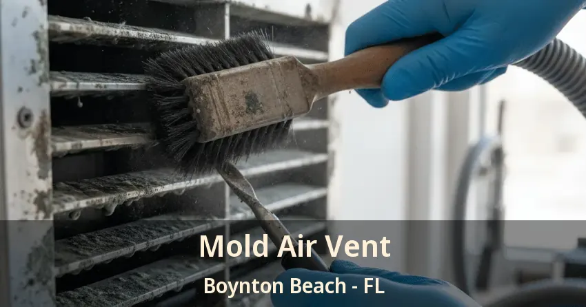 Mold Air Vent Boynton Beach - FL
