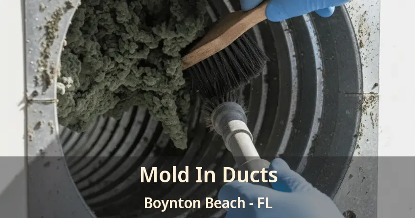 Mold In Ducts Boynton Beach - FL