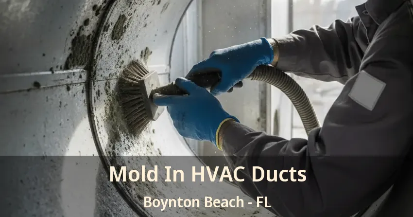 Mold In HVAC Ducts Boynton Beach - FL