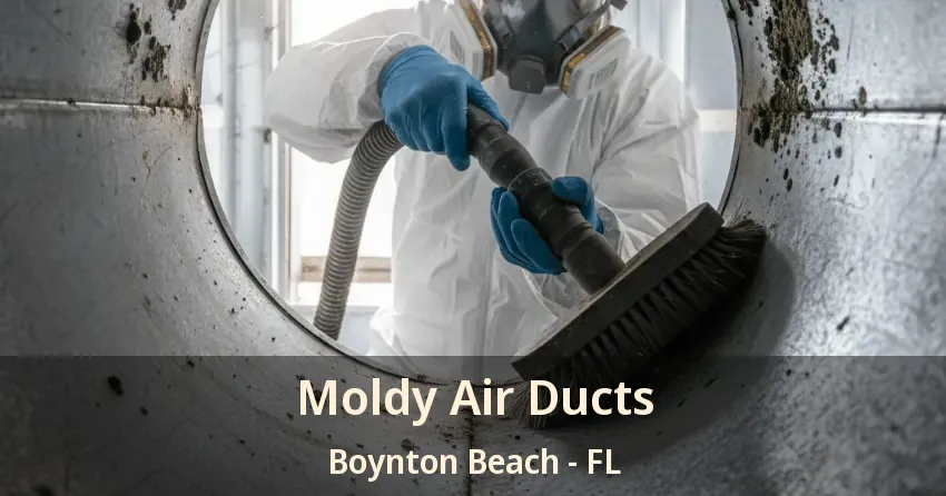 Moldy Air Ducts Boynton Beach - FL
